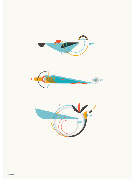 leandro-castelao-birds